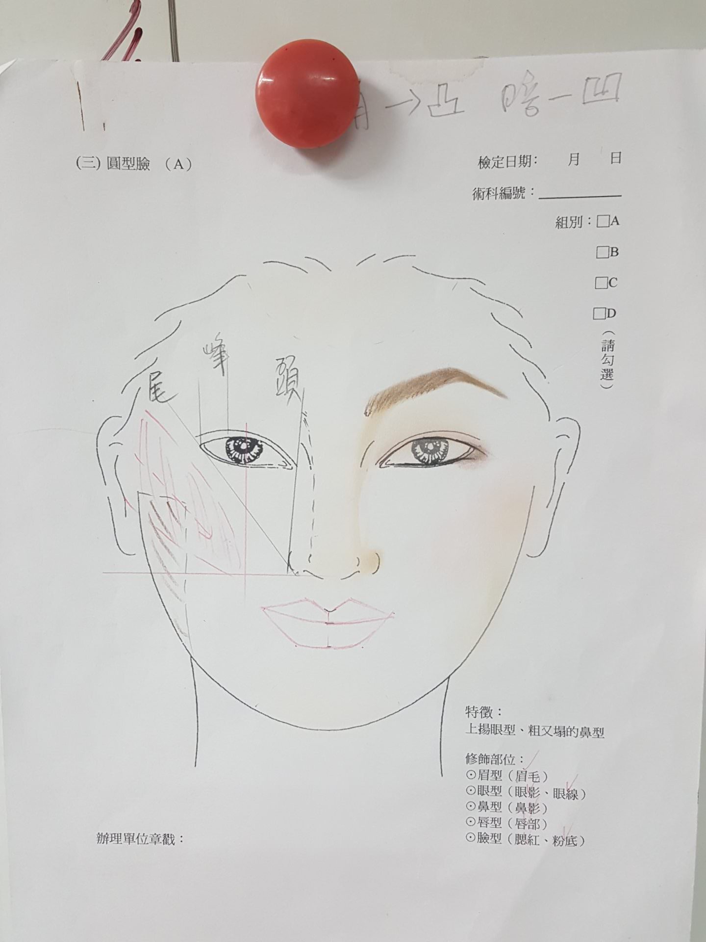 【美容】乙級證照 (三) 圓形臉(A) 上揚眼、鼻粗又塌 | 乙級紙圖 考試技巧要領