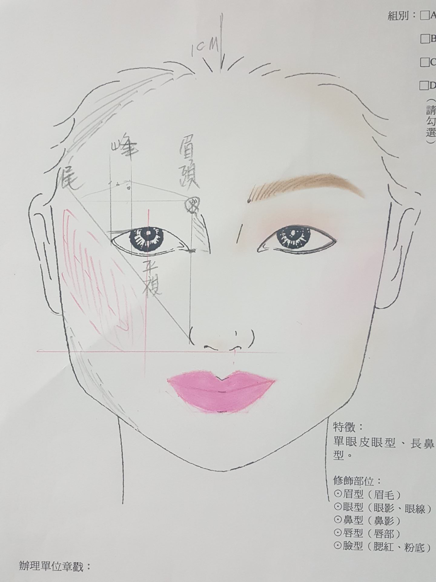 【美容】乙級證照 (一) 方形臉 (A) 單眼皮、長鼻 | 乙級紙圖 考試技巧要領