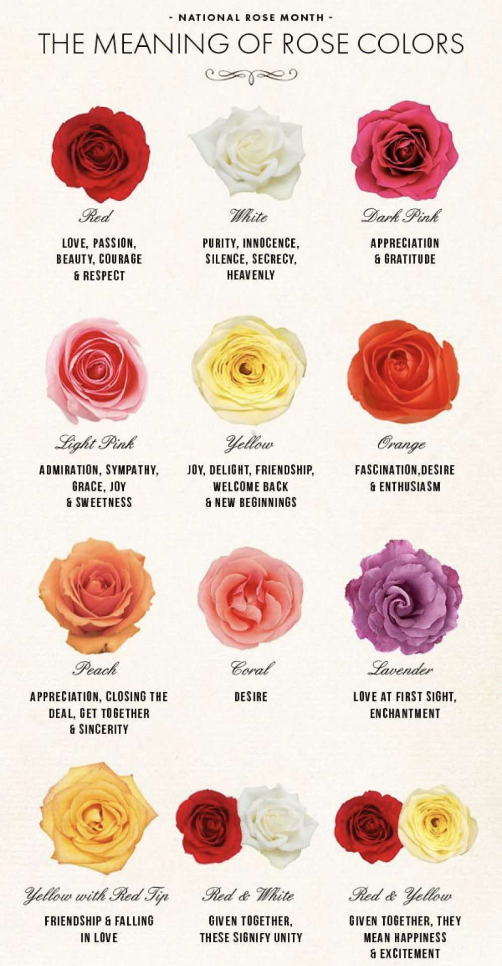【花藝】永生花花語錄 | 玫瑰花花語 Preserved Flowers Roses meanings