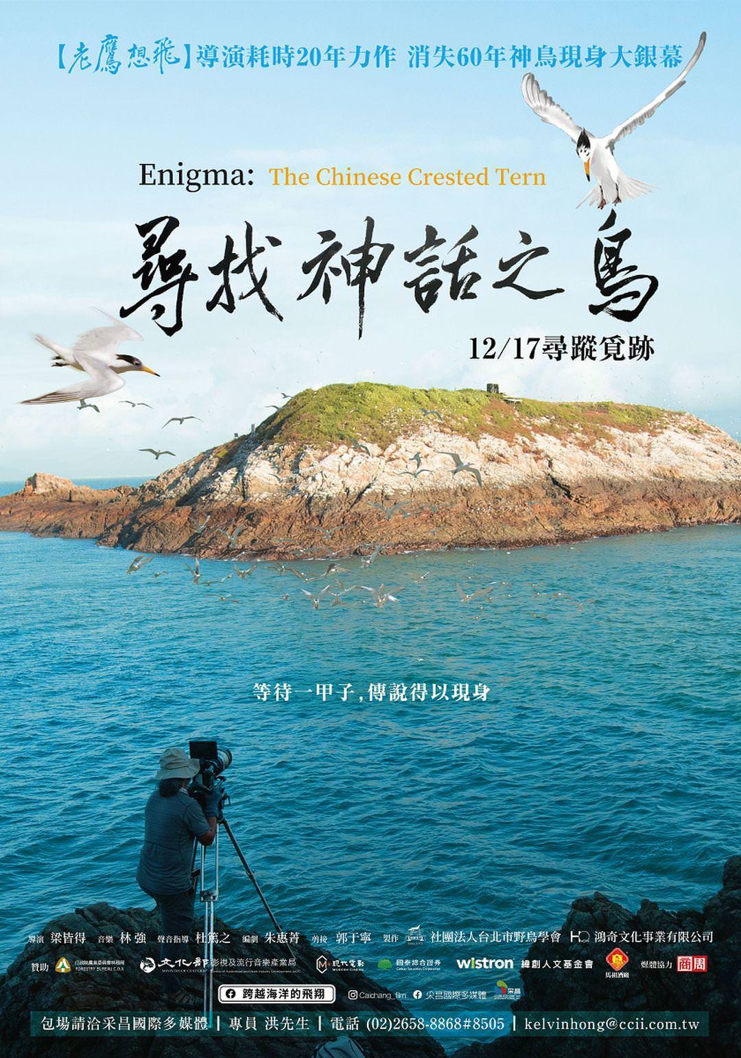 電影【尋找神話之鳥】影評、台詞：今日鳥類，明日人類，從絕跡之鳥看環境保育 Enigma:The Chinese Crested Tern