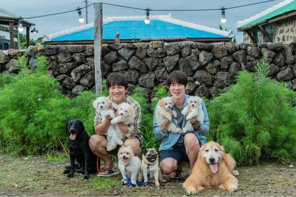 電影【超完美狗保姆】影片資訊：導演、演員、預告片、主題曲、幕後花絮、相關新聞