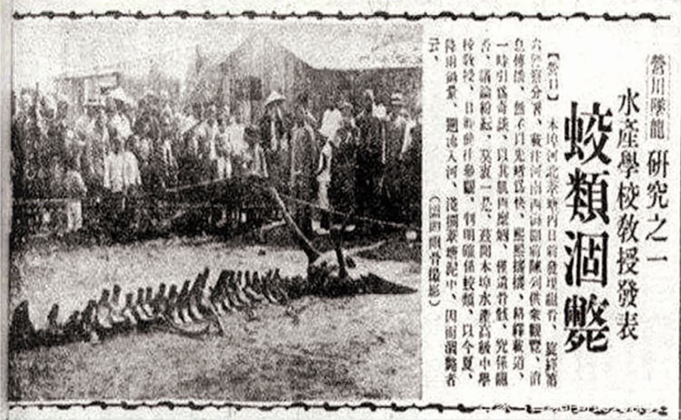 【都市傳說】龍真的存在嗎？許多人稱親眼目睹卻始終是謎