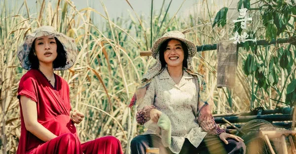 【影評】電影《尋她》傳統社會中每個人的不容易，尋她也是尋自己