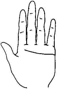 【命理】《手相學》掌紋解析：掌紋代表什麼意思？生命線、智慧線是哪條？