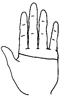 【命理】《手相學》掌紋解析：掌紋代表什麼意思？生命線、智慧線是哪條？