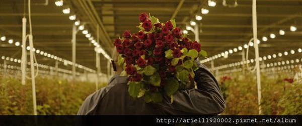 fx_fpnl44246894_0001
