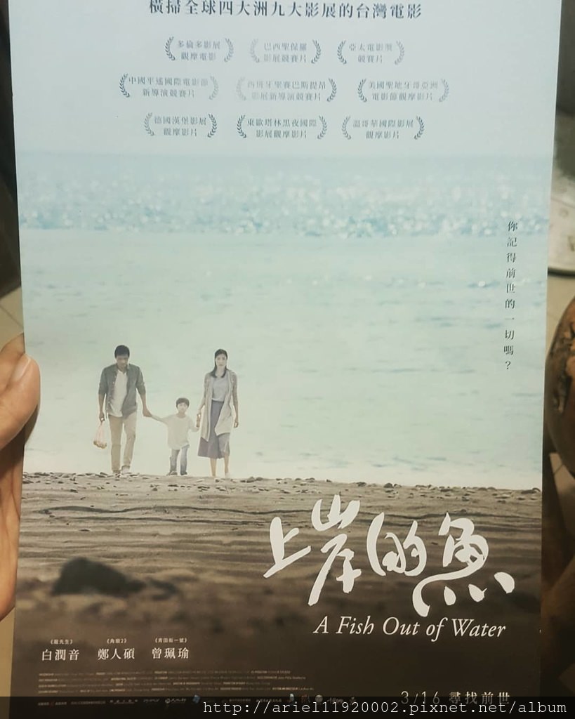 電影【上岸的魚】影評、台詞：人生就是不斷地輪迴 A Fish Out of Water