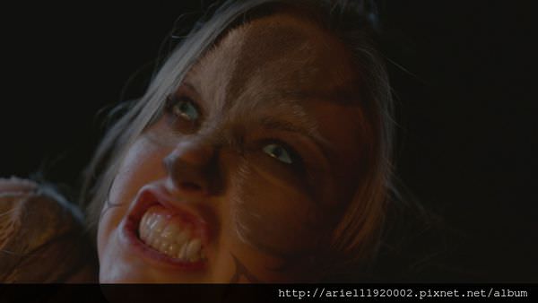 fx_fwen31403241_0019