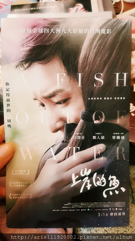 電影【上岸的魚】影評、台詞：人生就是不斷地輪迴 A Fish Out of Water