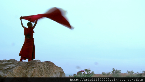 Lama-in-Wind-1024x576